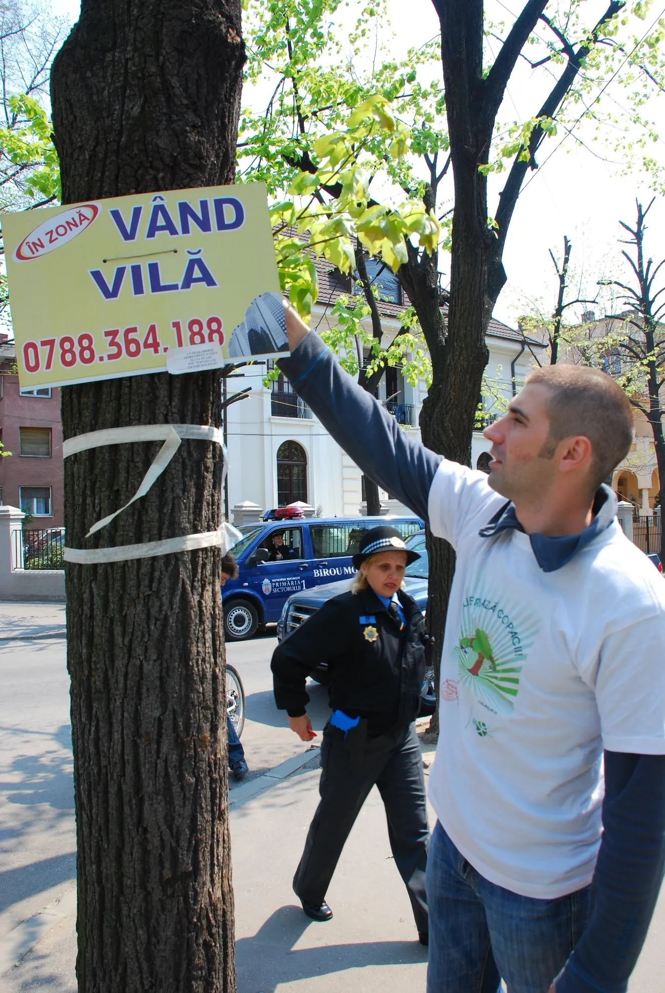 Voluntar Agent Green îndepărtând reclamă ilegală dintr-un copac