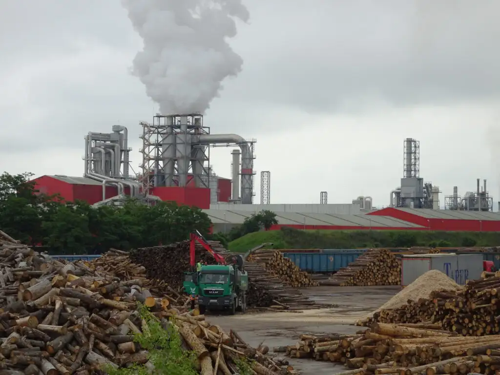 Depozit de bușteni tăiați din pădure, destinați arderii pentru biomasă