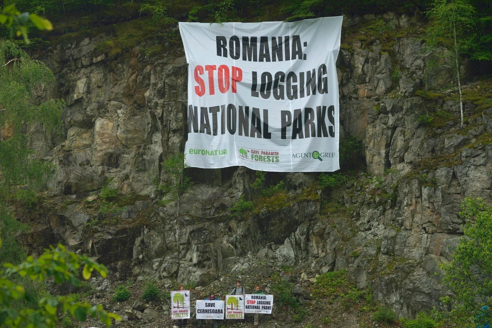 Romania: Stop Logging National Parks — protest Agent Green