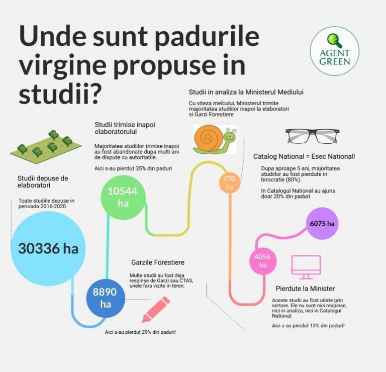 Infografic Agent Green: Unde sunt pădurile virgine propuse în studii? Din 30.336 ha studii depuse, doar 6.075 ha au ajuns în Catalogul Național