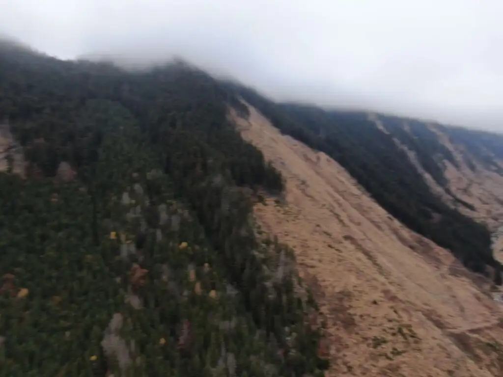 Vedere aeriană — păduri montane