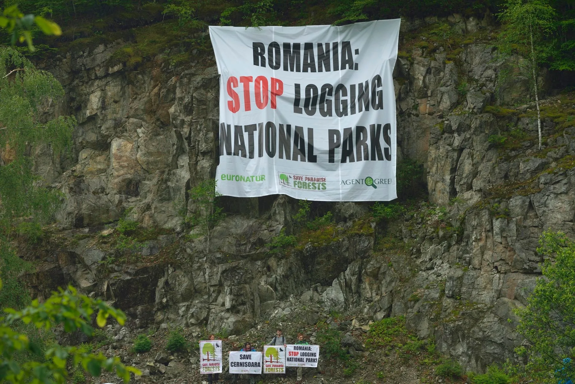 Curtea Europeană de Conturi auditează protecția naturii din România