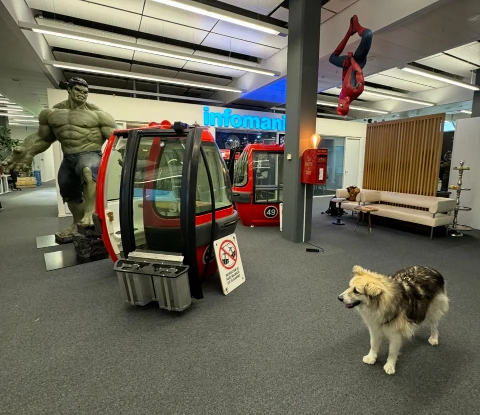 Spațiu de lucru Infomaniak din Geneva, cu o cabină roșie de telecabină, o statuie Hulk și un câine ciobănesc.