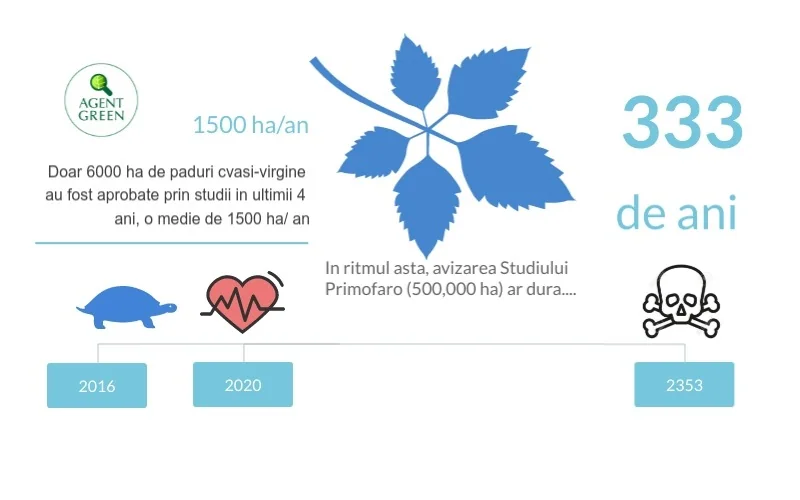 Infografic despre timpul necesar refacerii unei păduri cvasivirgine