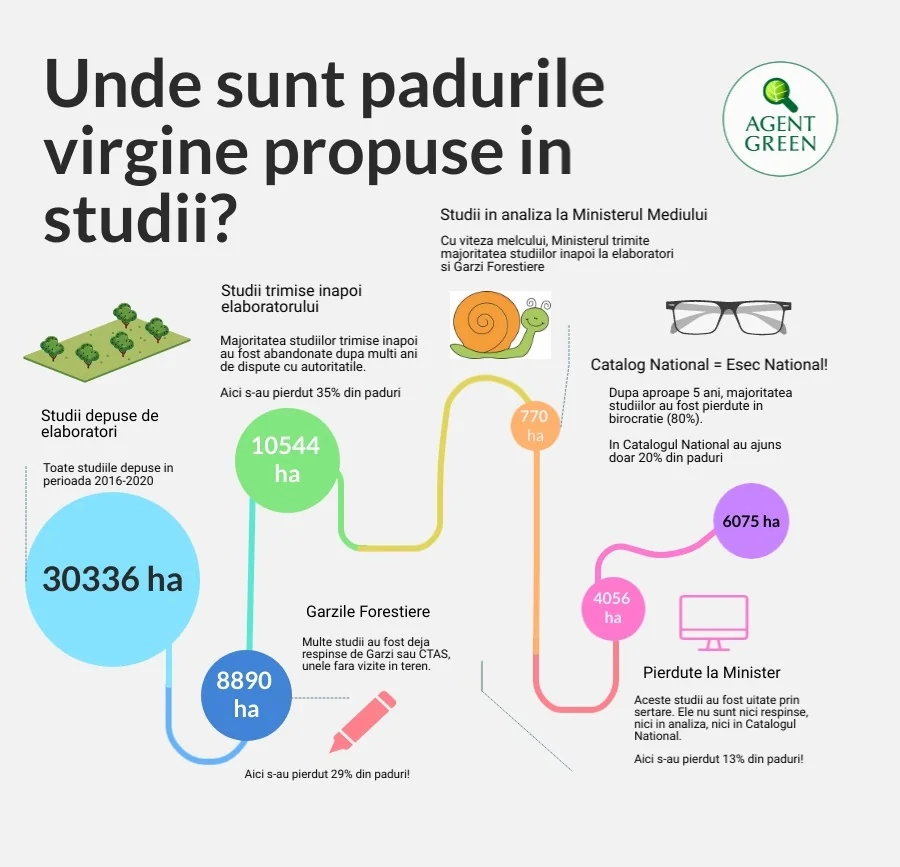 Infografic despre traseul studiilor pentru pădurile virgine propuse în catalog