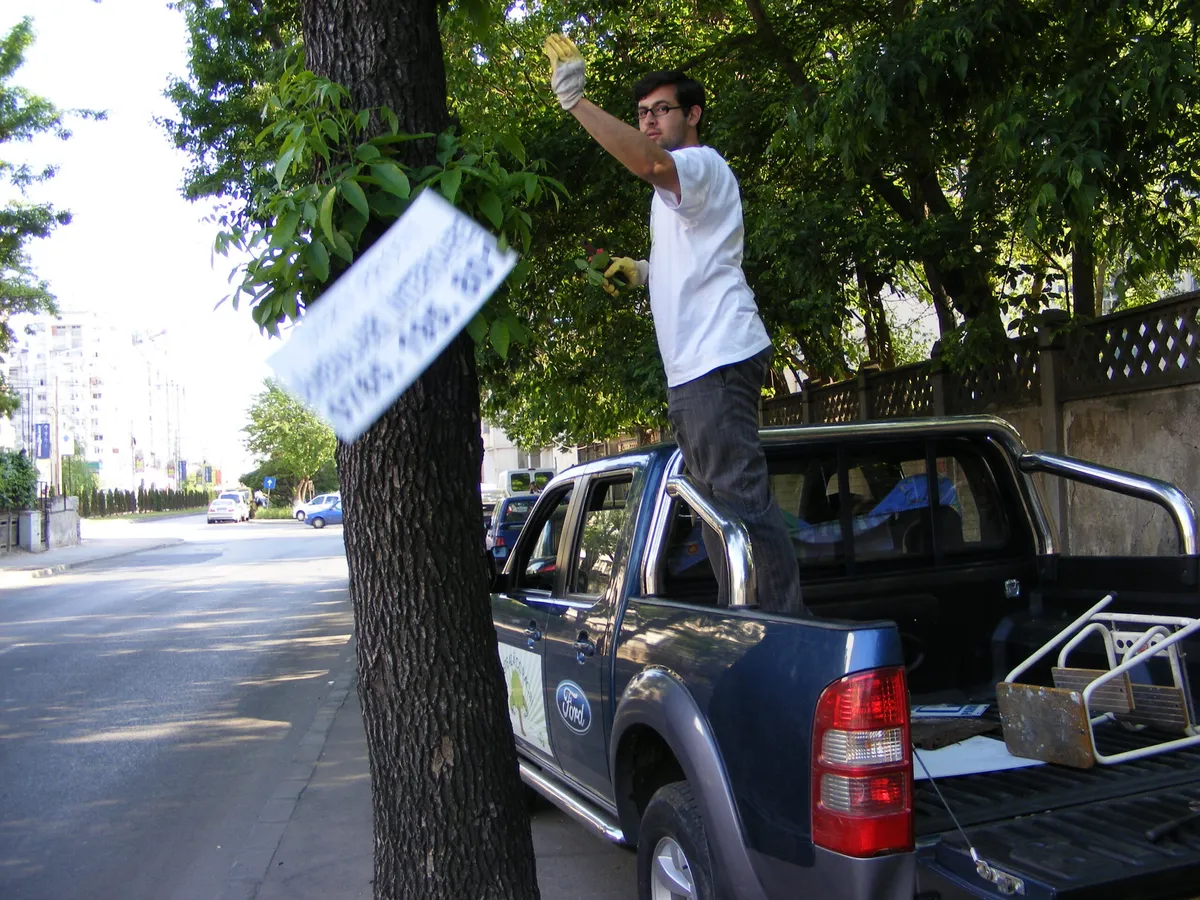 Agent Green a eliberat copacii din sectorul 3 fara sprijinul primariei