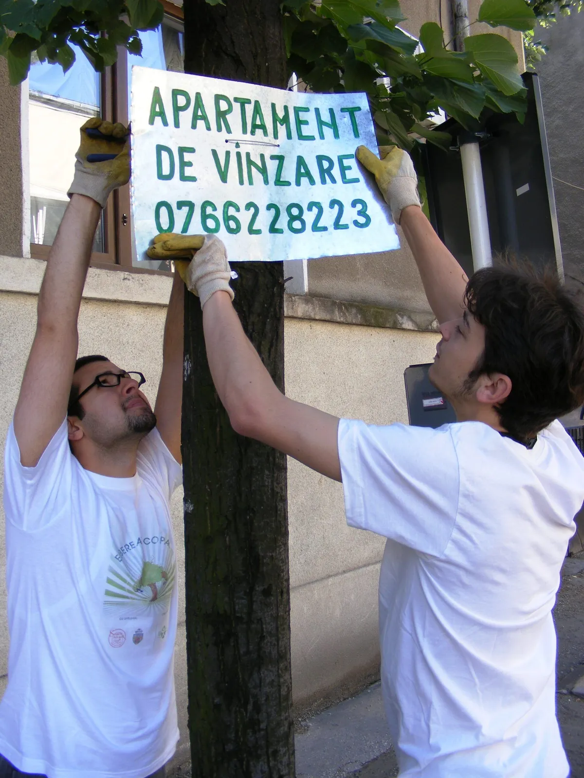 Mișcare browniană la Primăria Sectorului 5 pentru a evita eliberarea copacilor