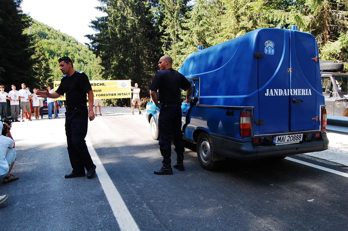 Organizații ecologiste pun capăt DN 66A la 1 km de Peisajul Forestier Intact