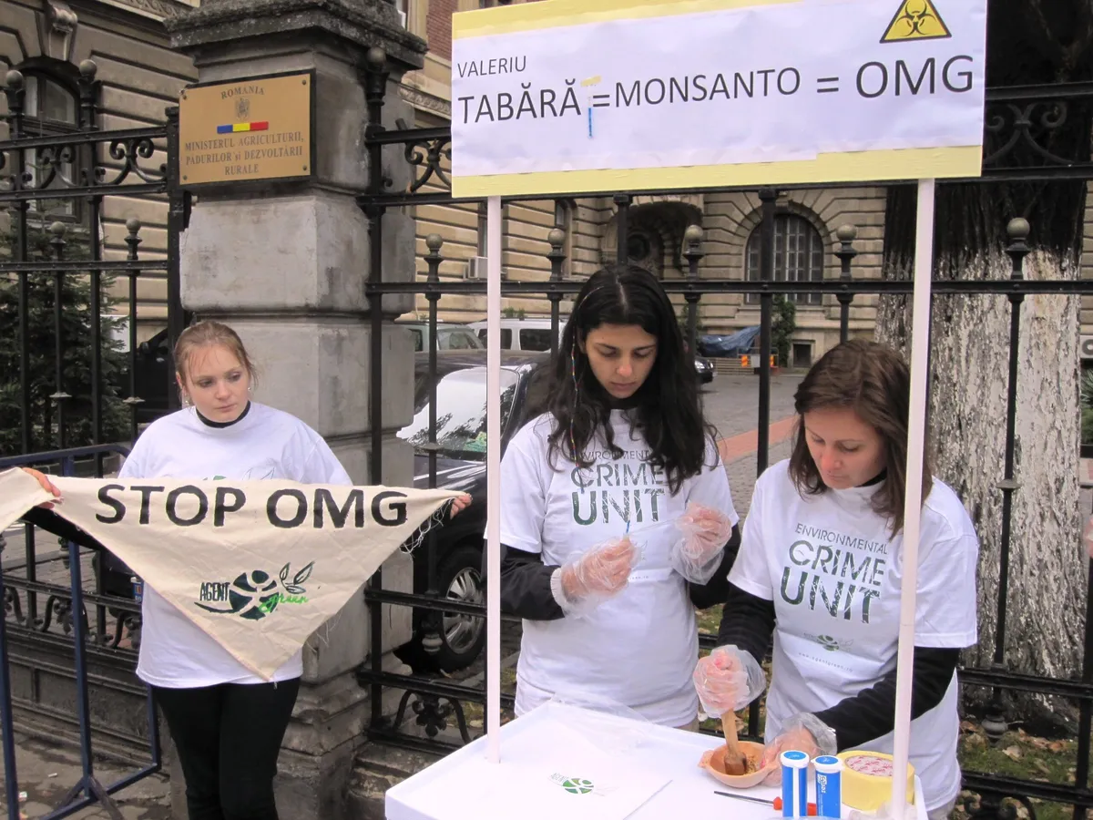 Ministerul Agriculturii și ANPM țin secrete locațiile culturilor de OMG