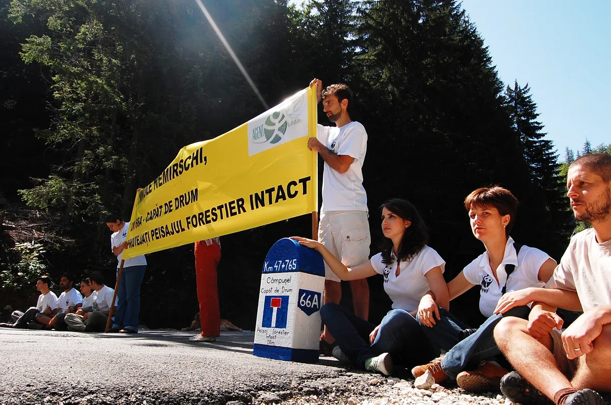 Agent Green dă în judecată Administrația Parcului Domogled în cazul DN 66A