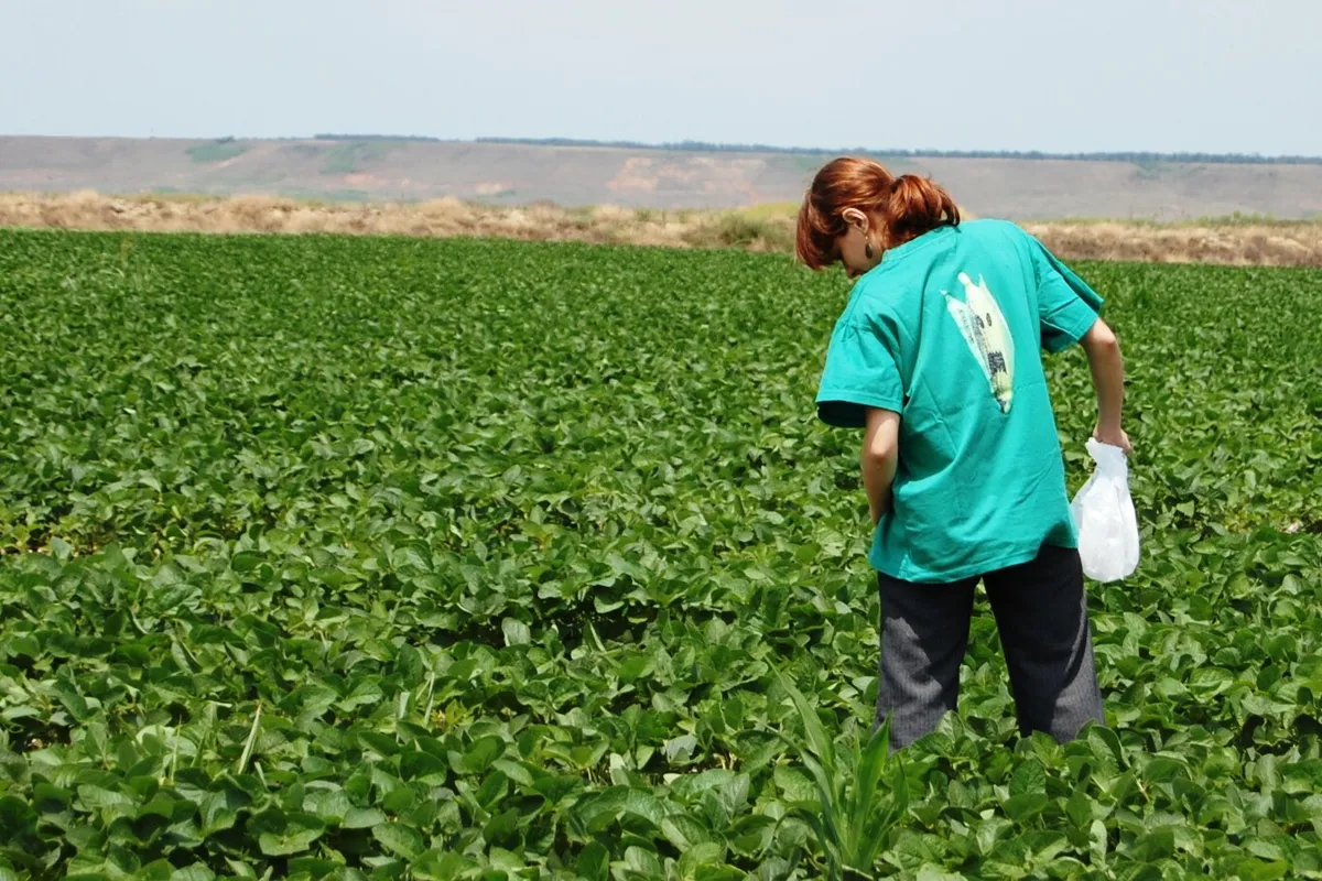 CNA nu trebuie să influențeaze dezbaterea OMG
