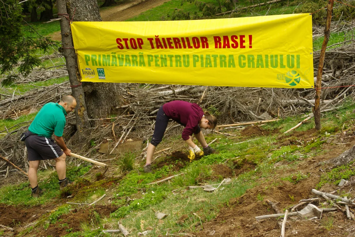 Agent Green aduce primăvara pentru Piatra Craiului