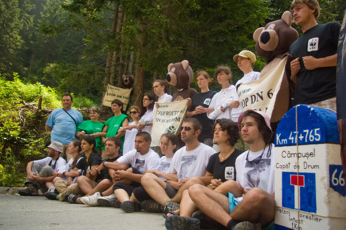 Agent Green blocheaza drumul national 66A