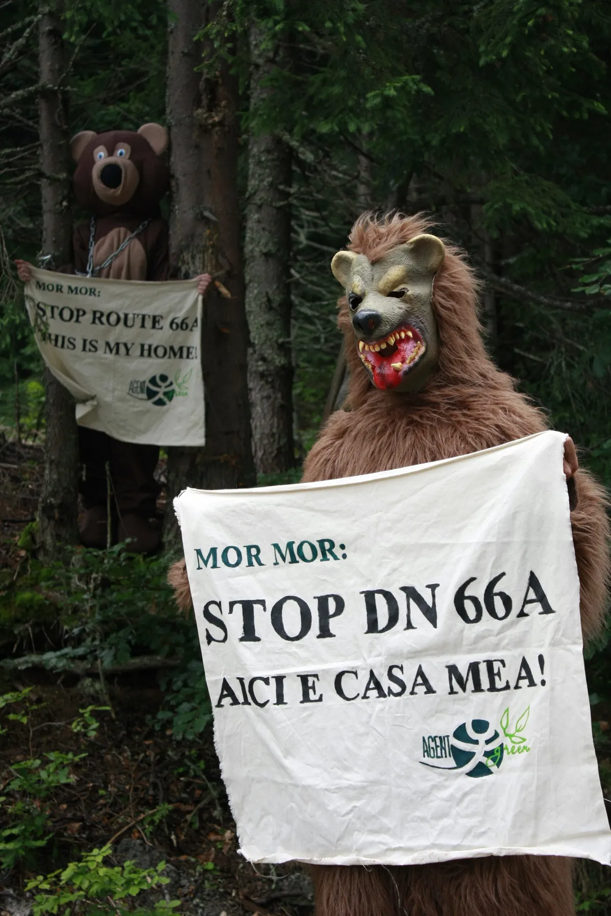 Fraudă Ecoterra în cazul construcției DN 66A prin munții Retezat