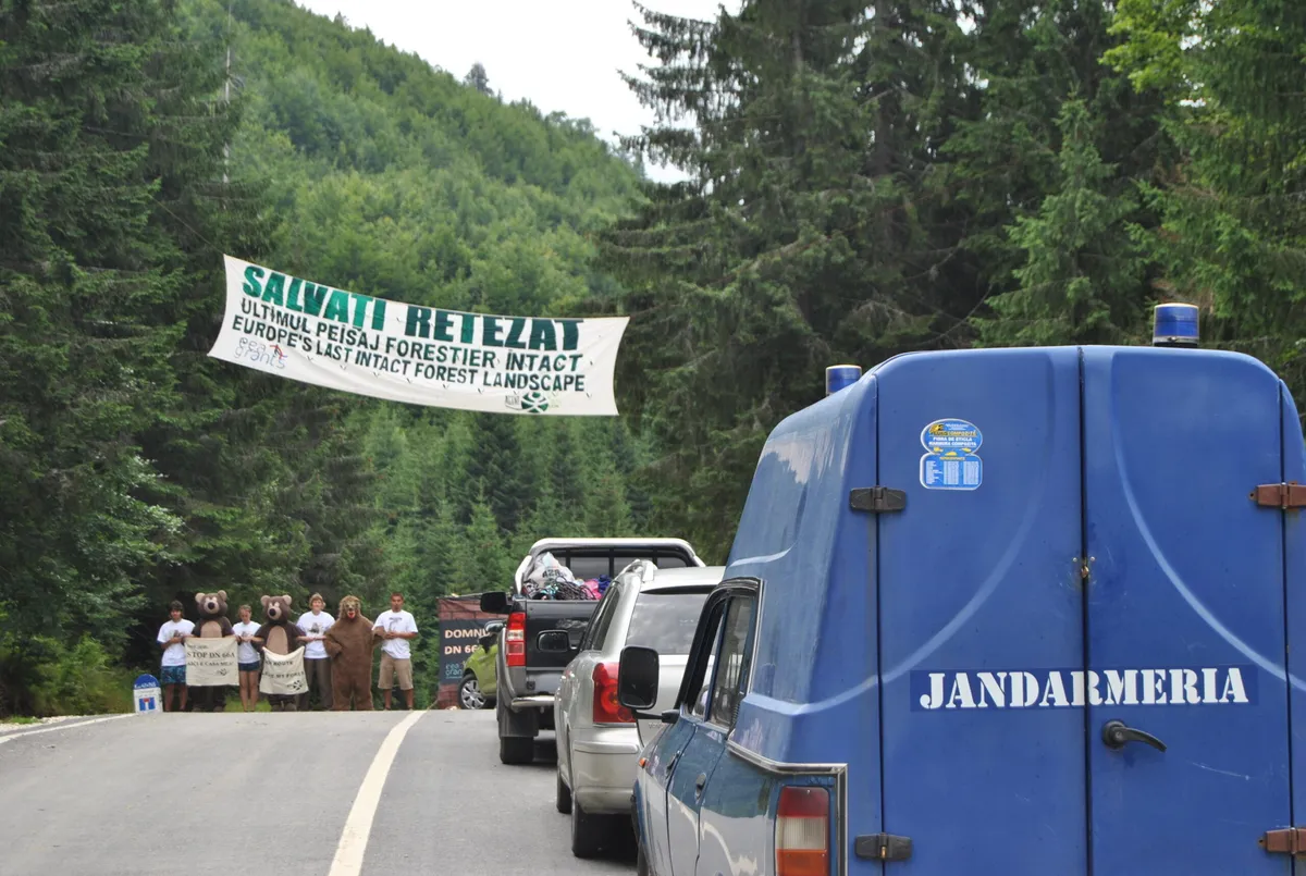 Curtea de Apel a decis ca Guvernul poate asfalta muntii Retezat