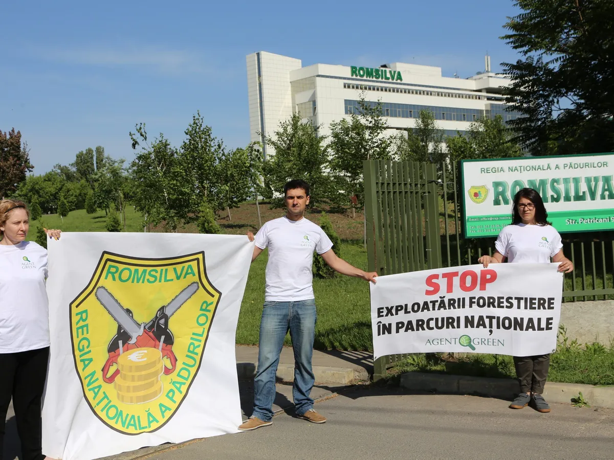 ROMSILVA abandoneaza 4 parcuri nationale si naturale pentru ca statul a ramas fara paduri