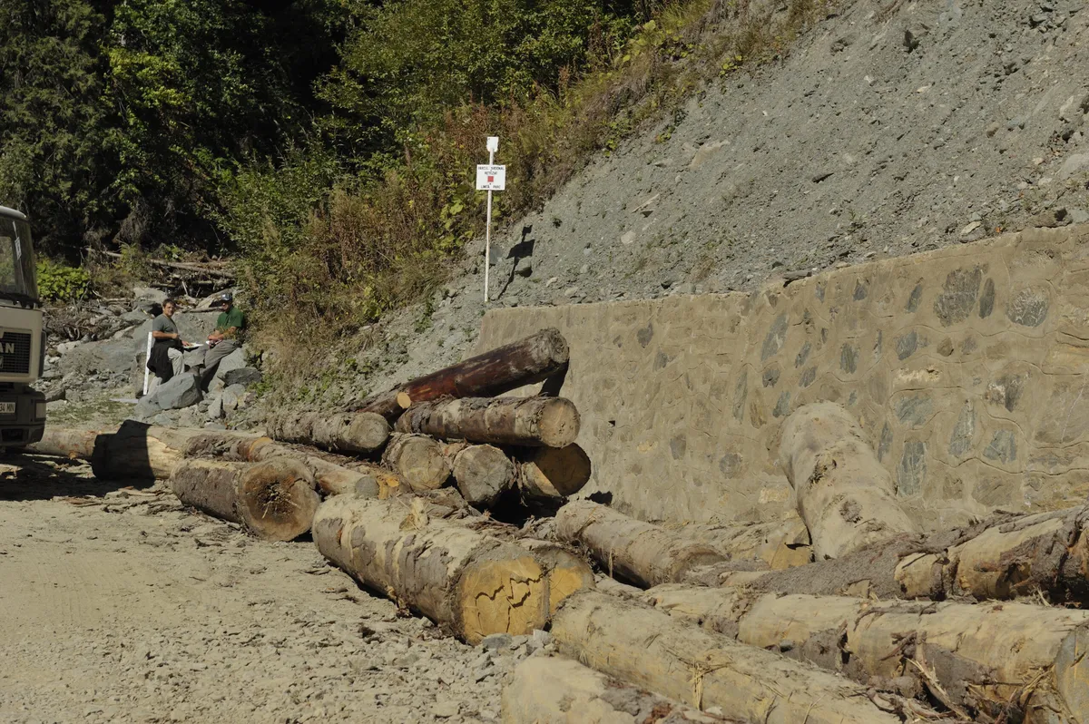 Paduri din Parcul National Retezat ard de Craciun in seminee europene