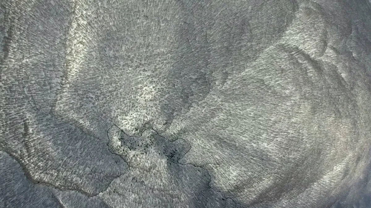 10499440_850537365004976_5065592404513205984_o