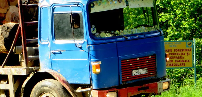 Răspunsul AGENT GREEN către luarea de poziție a RNP ROMSILVA