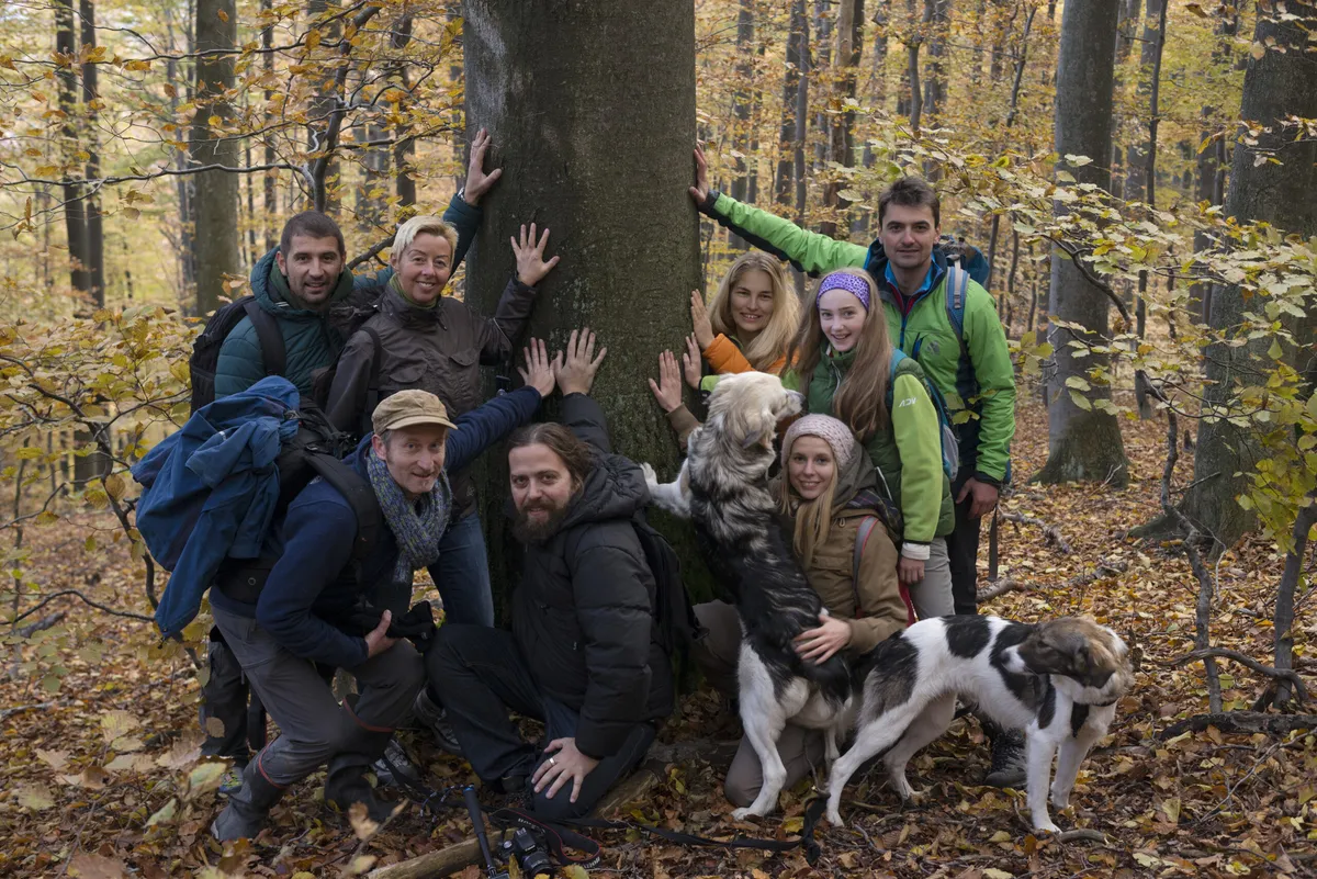 Pădurea virgină Coșava Mică a fost salvată pentru următorii 10 ani