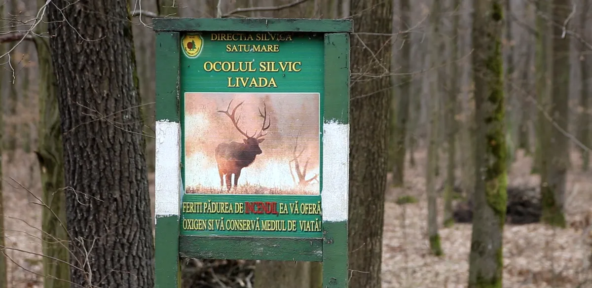 Tăieri ilegale în Rezervația Naturală Râul Tur