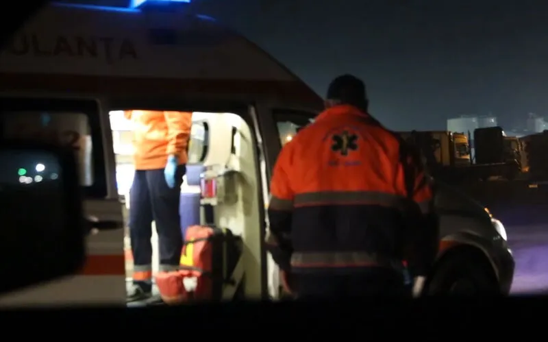 Mafie, Păduri Crima și Pedeapsă