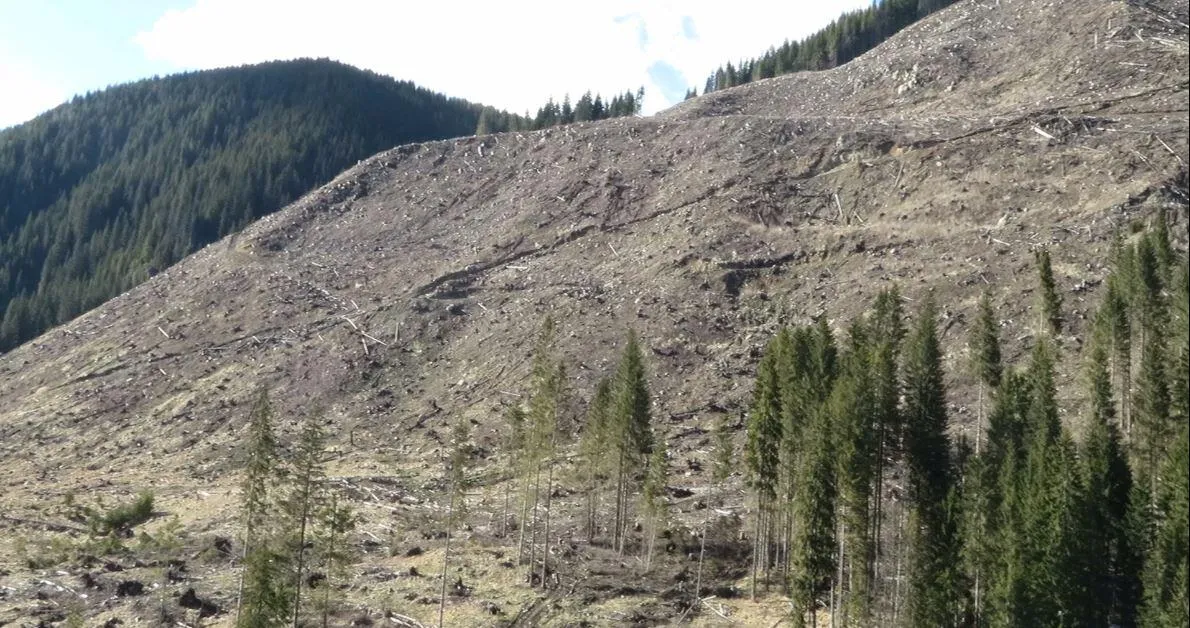 AGENT GREEN cere infiintarea ANAP pentru preluarea administrarii parcurilor nationale si naturale