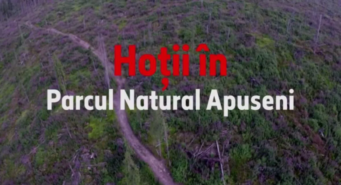 Hoții în Parcul Natural Apuseni