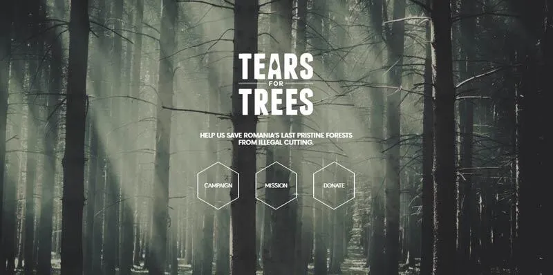 Tears for Trees