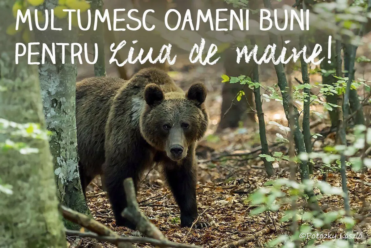 Agent Green salută decizia Ministerului Mediului de interzicerea vânătorii de trofee