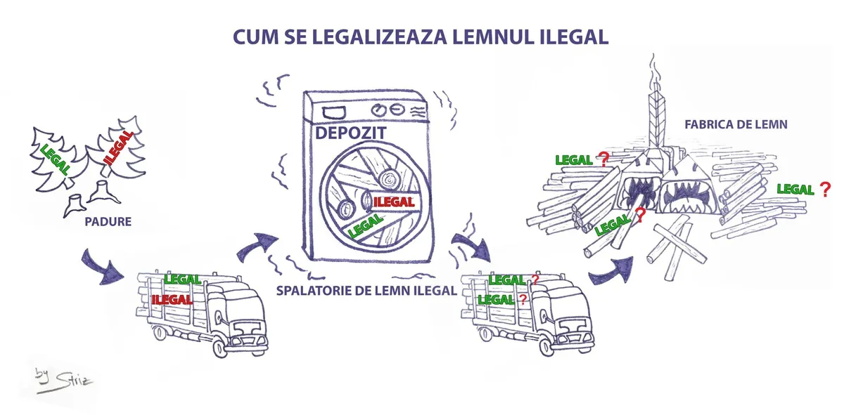 România Nu Poate Asigura Trasabilitatea Lemnului