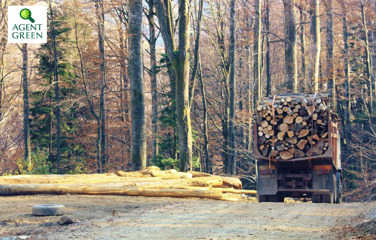 Ultima cacialma á la Ministerul Mediului, Apelor și Pădurilor