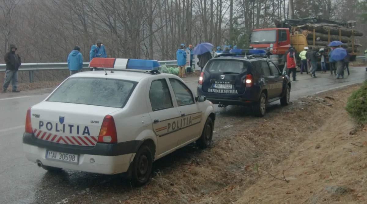 Agent Green cere mai multă autoritate pentru Jandarmerie și Poliție pentru protejarea pădurilor