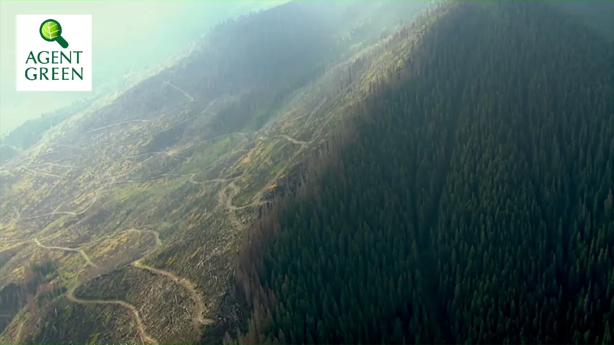 Galerie Media – Agent Green blochează camioanele cu lemne din munții Făgăraș