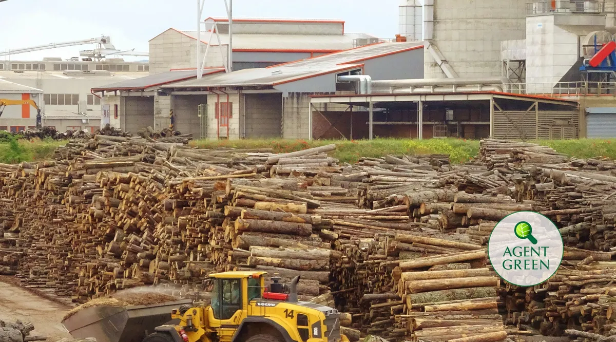 Scrisoare deschisă cu privire la procesul de reasociere al FSC cu firma Holzindustrie Schweighofer