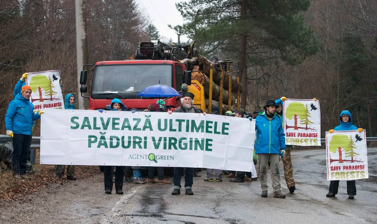 Raportul oficial al dezastrului de la Vidraru: s-a tăiat cu 4100 % peste cotă