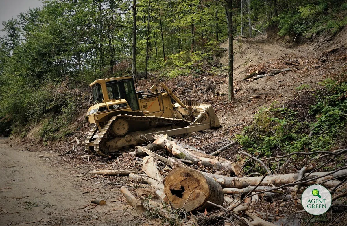 Agent Green demontează replica Romsilva privind masacrul din Parcurile Naționale