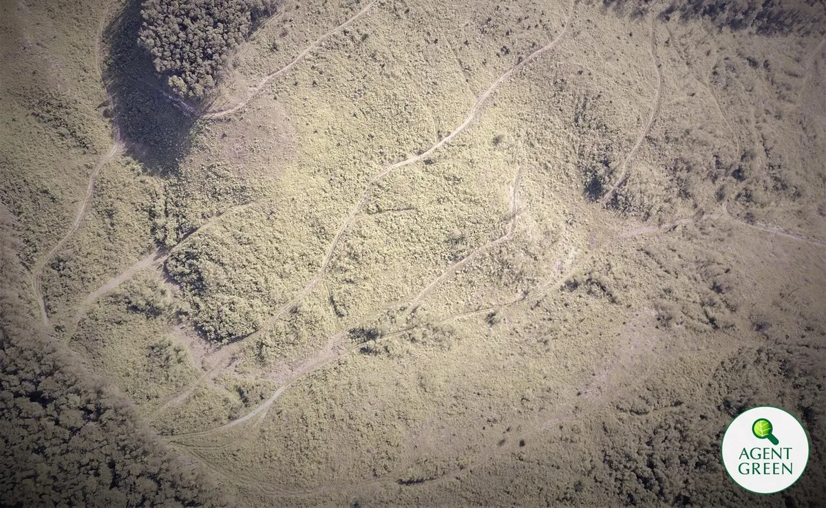 Semenic, parcul național unde trecutul întâlnește prezentul, dar nu și viitorul