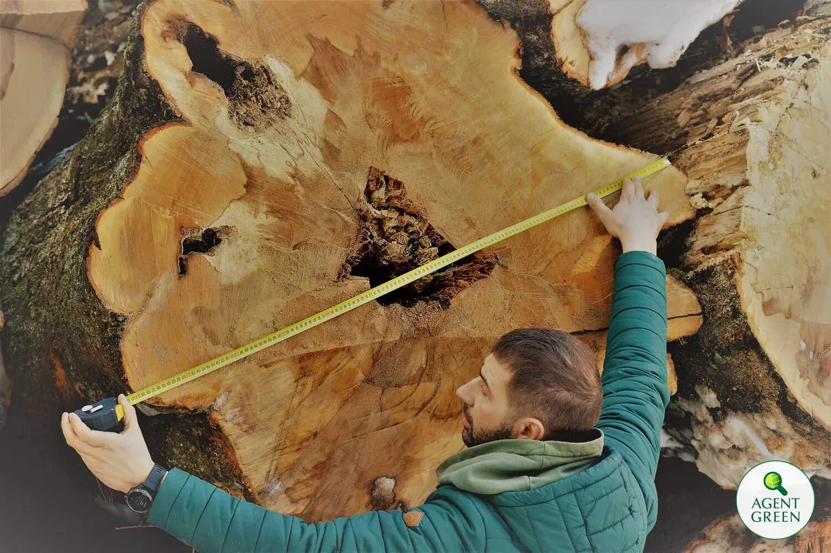 Dezastru în situl UNESCO Sarmizegetusa Regia