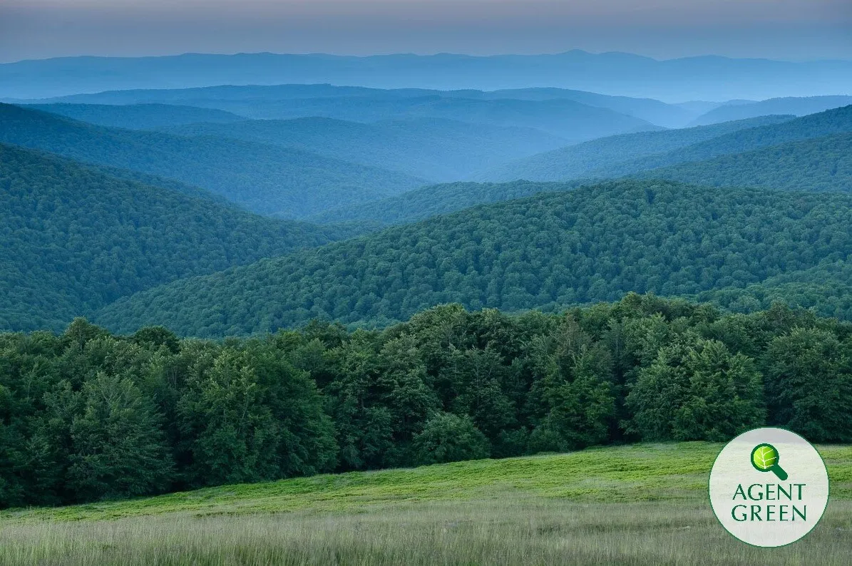 Romsilva propune creșterea suprafeței exploatabile din Parcul Național Semenic