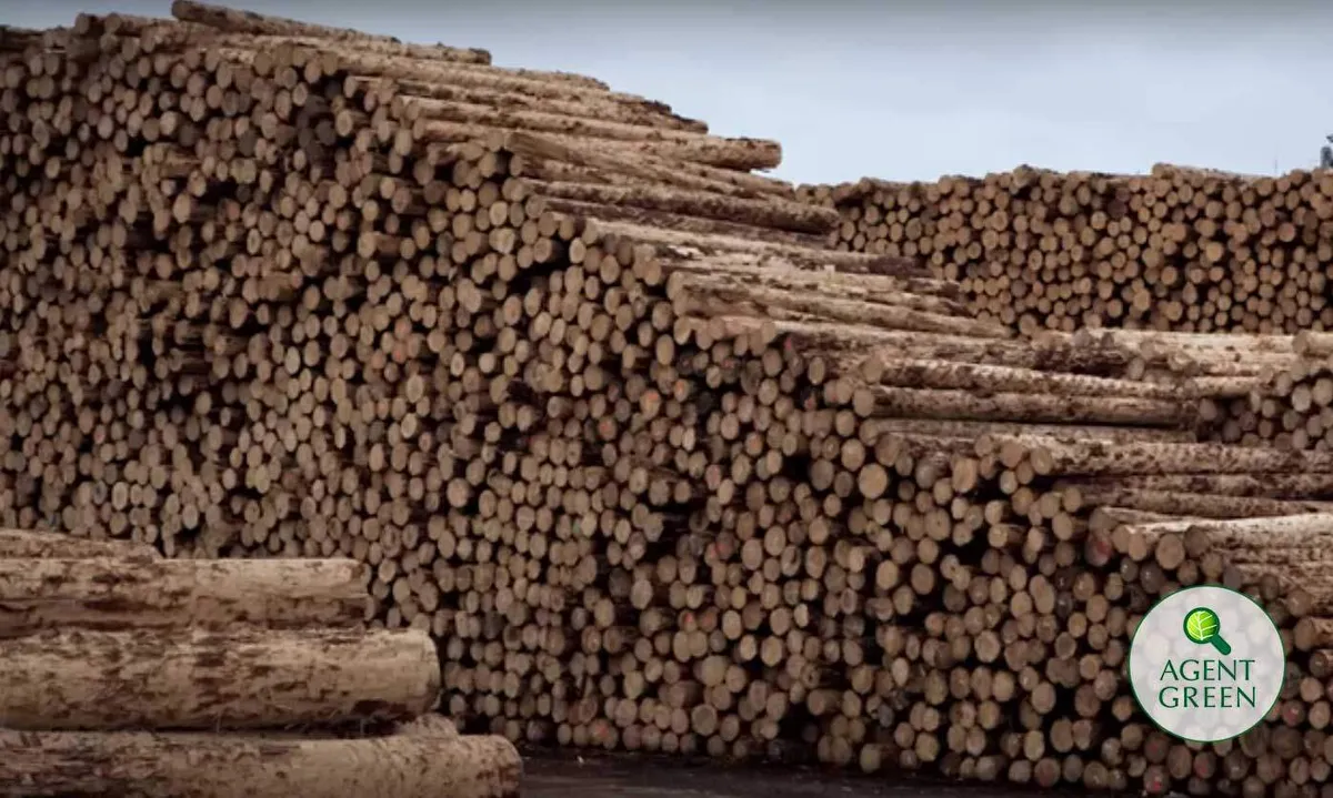 Către: Ministerul Apelor și Pădurilor