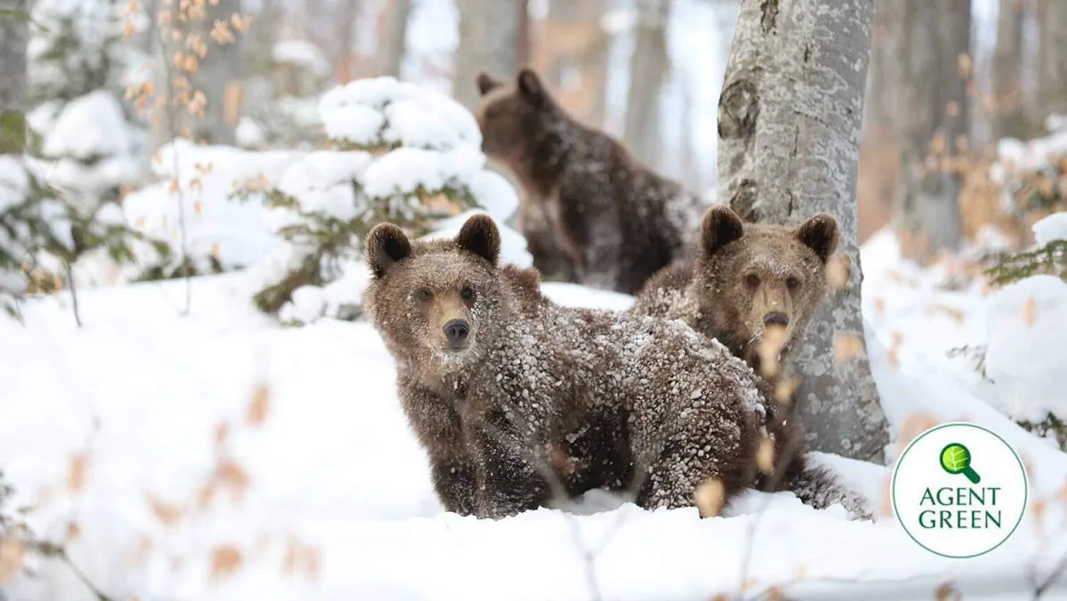 Scrisoare deschisă pentru Președintele Klaus Iohannis