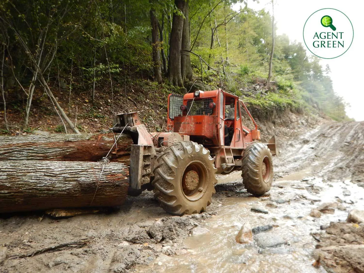 Replica Agent Green cu privire la reacția Romsilva în cazul investigatorului agresat în Semenic