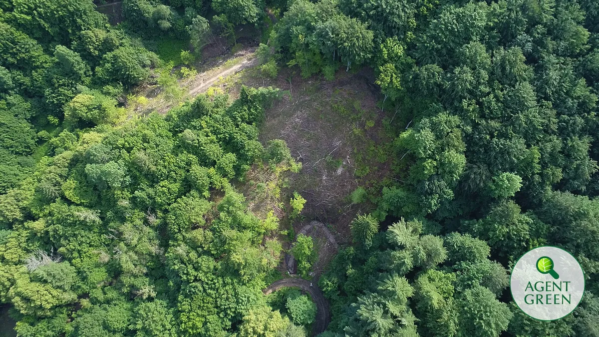 Scrisoare deschisă cu privire la planul de management al Parcului Național Semenic Cheile Carașului și dezinformările echipei manageriale