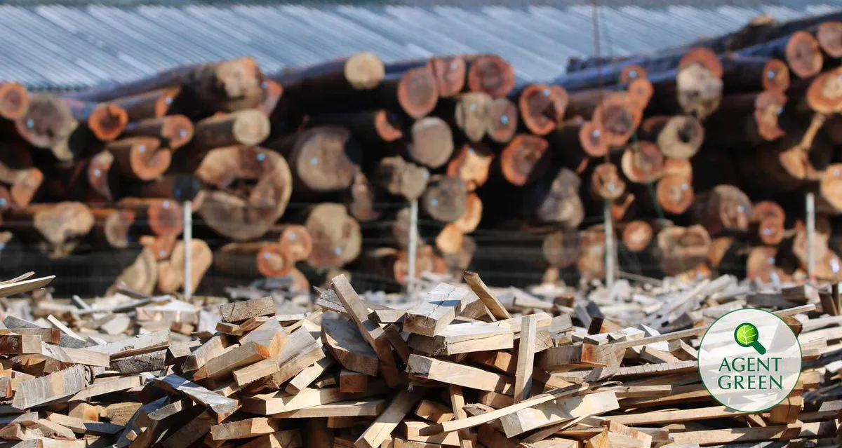 Amputarea inspectorului pădurii încurajează furtul de lemn