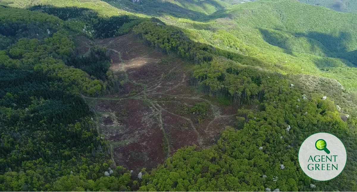 Încă o bijuterie din tezaurul natural national este masacrată – Parcul Național Cheile Nerei Beușnița: Liber la tăieri pe 60% din suprafața parcului