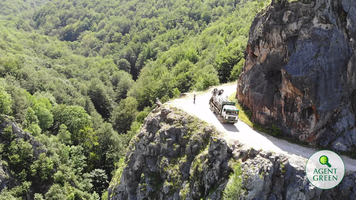 Romsilva prinsă la furat arbori în Parcul Național Domogled – Valea Cernei