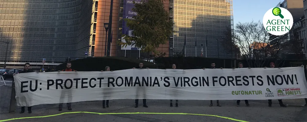Ecologiștii cer Comisiei Europene să intervină pentru salvarea ariilor protejate din România