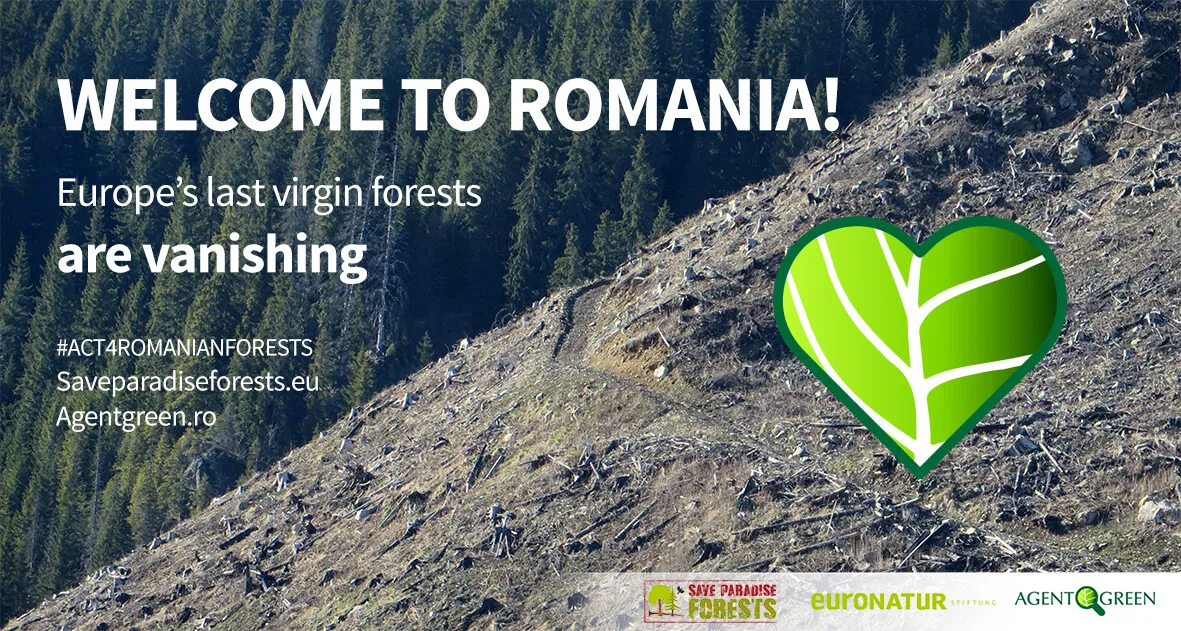 #LOVEFORESTS? #ACT4FORESTS