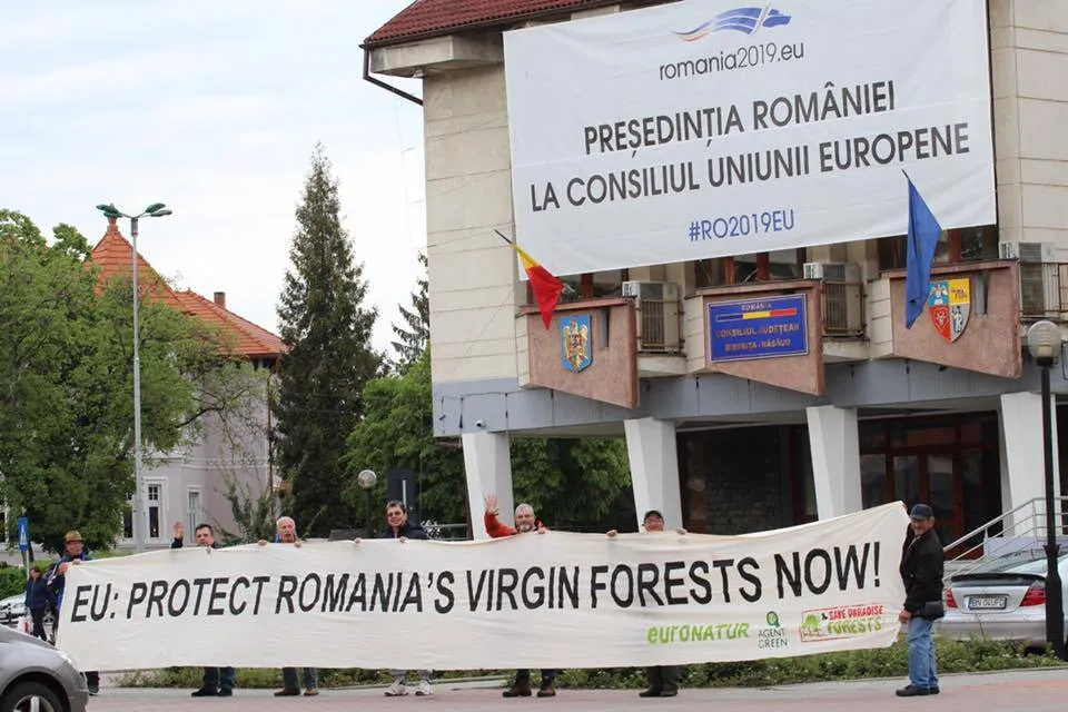 Protest pentru paduri la Bistrita